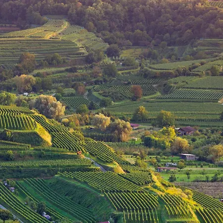 Winzerhof Henkenberg Apartment *