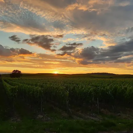 Apartament Winzerhof Henkenberg *