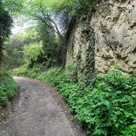 Winzerhof Henkenberg Apartament Niederrotweil