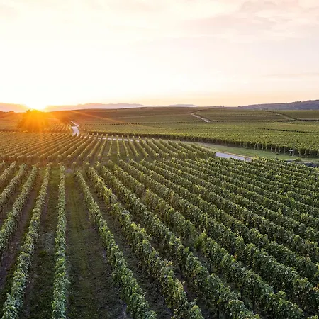 Apartment Winzerhof Henkenberg Niederrotweil
